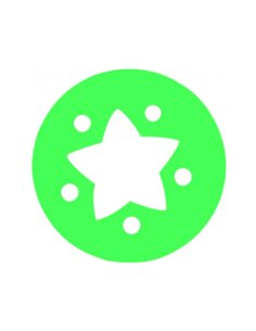 Lot seringues gros modeles graine creative motifs fantaisie pour modelage 5 coloris assortis. 2