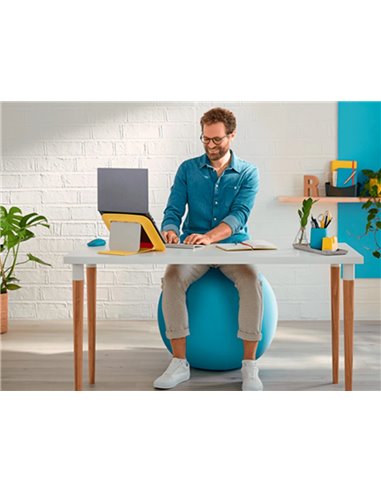 Ballon d'assise ergonomique leitz ergo cosy active bleu 65cm diametre.