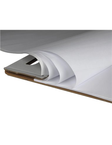 Bloc conférence liderpapel 63x84cm papier uni 80g/m2 conventions réunions 50f.