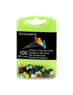 Bte 100epingle tete plate ass.