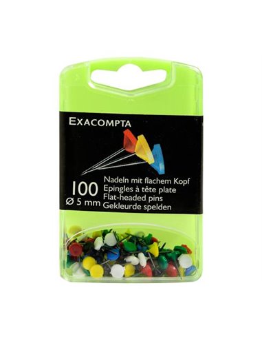 Bte 100epingle tete plate ass.