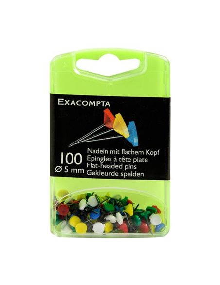 Bte 100epingle tete plate ass.