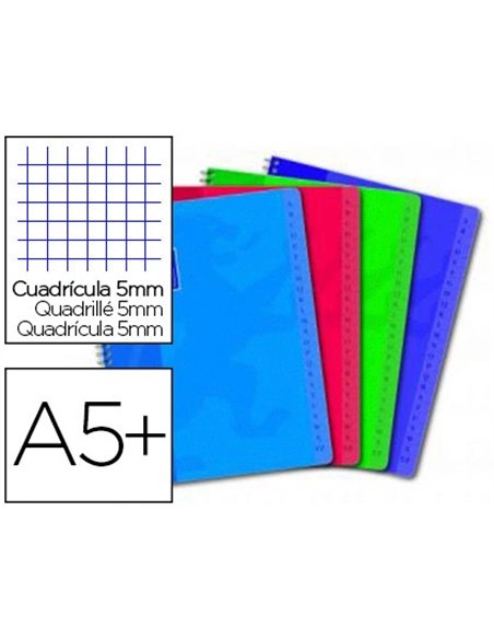 Répertoire oxford reliure intégrale couverture lavable touches plastifiées 170x220mm 100 pages 90g 5x5mm assortis.