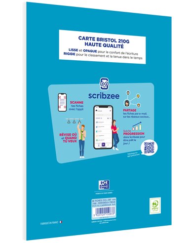 Bloc bristol perfore oxford 2.0 a4 30 fiches 210g quadrille 5mm.