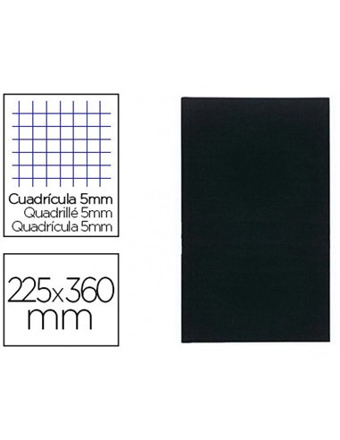 Registre standard exacompta 225x360mm 5x5mm folioté vertical 200 pages.