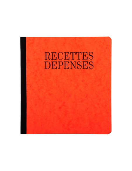 Manifold exacompta piqué 190x210mm 80 pages recettes dépenses.