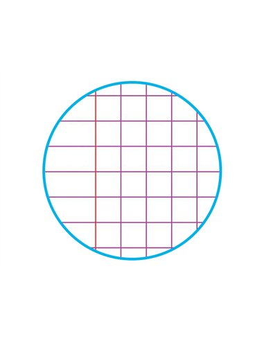 Copie double clairefontaine a4 21x29,7cm papier velin veloute 300 pages 90g 5x5mm perforees sous film coloris blanc.