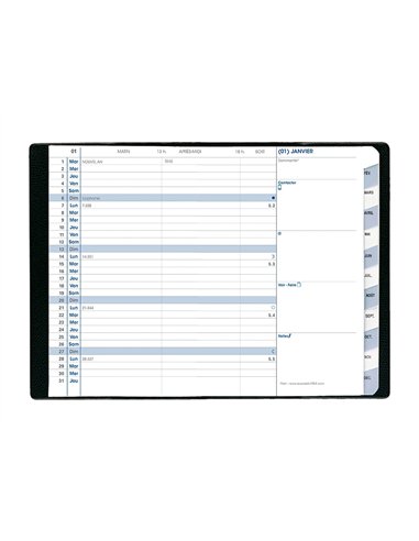 Agenda quo vadis plain impala poche indexage mois 12 mois janvier décembre 1 mois 2 pages 105x155mm coloris assortis.