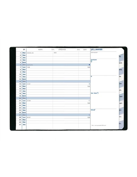 Agenda quo vadis plain impala poche indexage mois 12 mois janvier décembre 1 mois 2 pages 105x155mm coloris assortis.
