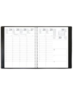 Agenda quovadis mercure s ml alpha 2025 210x270mm coloris noir.