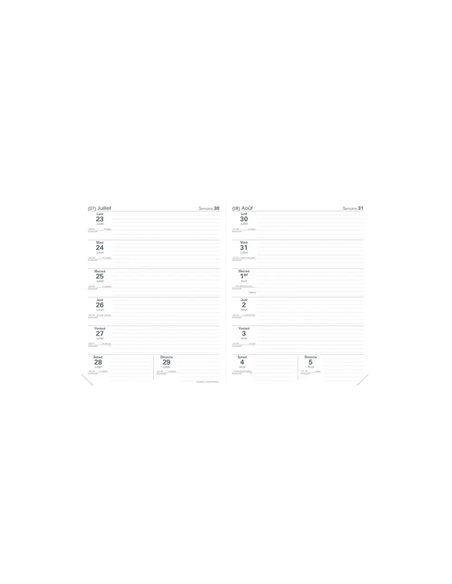 Agenda quo vadis le professeur club 210x270 mm 2 semaines sur 2 pages 12 mois framboise.