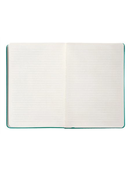 Carnet a5 antartik notes lignecouverture rigide fermeture elastique 100 pages 80gr coloris vert menthe.