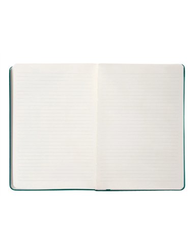 Carnet a5 antartik notes lignecouverture rigide fermeture elastique 100 pages 80gr coloris vert paon.