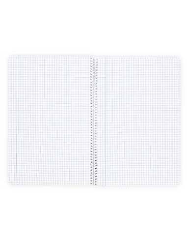 Cahier spirale liderpapel a4 micro wonder 240 pages 90g 5x5mm 4 trous 5 bandes coloris assortis.