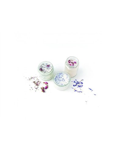 Kit bougies fleuries graine creative pour 12 eleves kit complet.