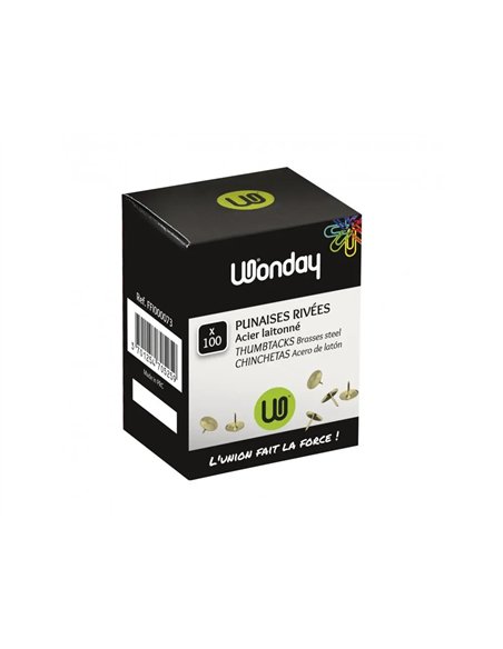 Punaise wonday laiton boite 100 unites.