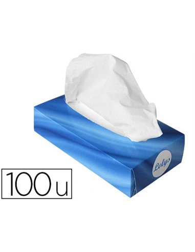 Mouchoir coldis lolys 2 plis confort douceur résistance conforme exigences environnement fsc coloris blanc boîte 100u.