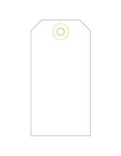 Étiquettes Apli avec rondelle 100 x 51 mm, 1 000 unités