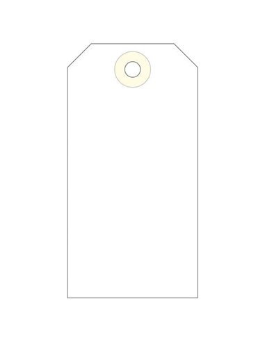 Étiquettes Apli avec rondelle 100 x 51 mm, 1 000 unités