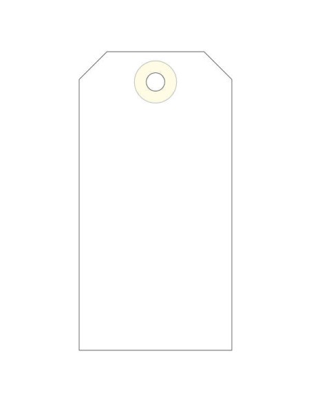 Étiquettes Apli avec rondelle 100 x 51 mm, 1 000 unités