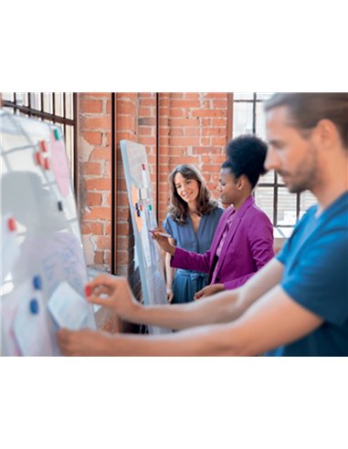 Tableau portable esselte magnetique double face move & meet blanc tour gris 1800x900mm.