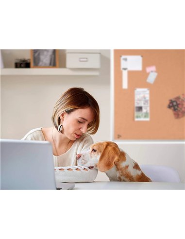 Tableau liège q-connect mural cadre aluminium résistance humidité accessoires fixation mur 1mm épaisseur 120x90cm.