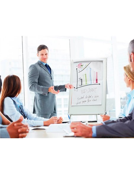 Chevalet conférence q-connect tableau magnétique 70x100cm cadre plastique pince bloc papier auget porte-marqueurs.