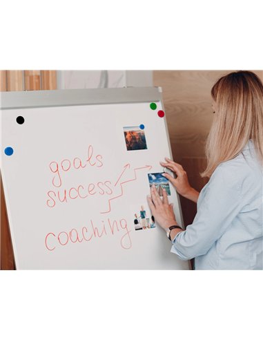 Aimant liderpapel ecouse pp 35mm pour tableaux magnetiques coloris assortis boite 10 unites.