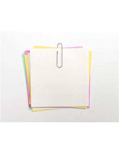 Trombone liderpapel zinc n 4 bout rond 50mm boite 100 unites.