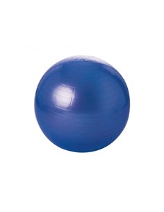 Ballons geants tremblay balle gymnique pvc regonflable differentes tailles poids maxi 100 kg 55 cm.