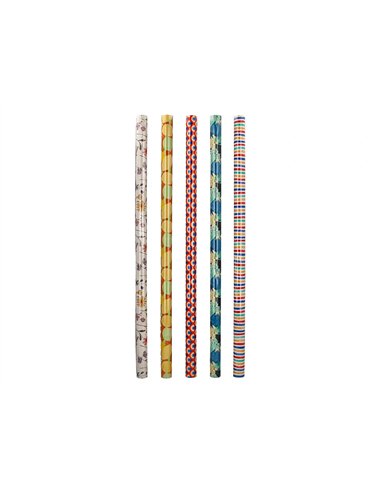 Papier cadeau liderpapel toute l'annee rouleau 0,70x2m 60g motifs assortis b-2024.