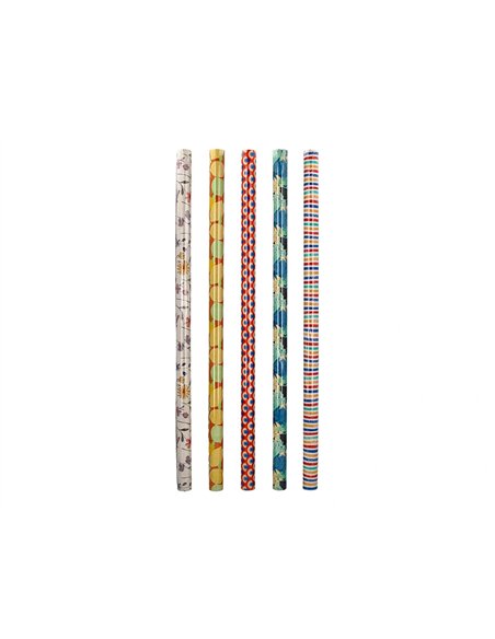Papier cadeau liderpapel toute l'annee rouleau 0,70x2m 60g motifs assortis b-2024.