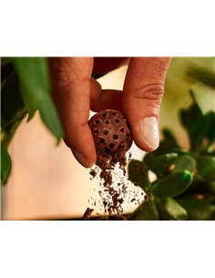 Cafe royal coffeeb espresso x9 capsules. 2