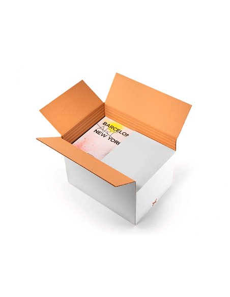 Caisse americaine q-connect ultra-resistante reglable en hauteur double cannelure 7mm 450x280x375mm coloris blanc.