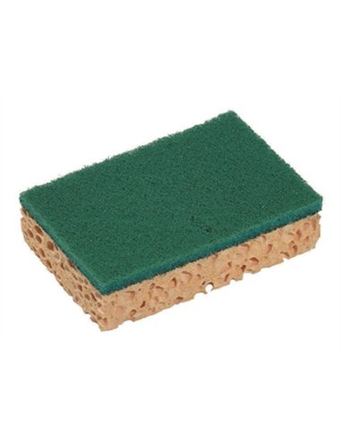 Éponge économique 110x70x24mm grattante sachet 10 unités.