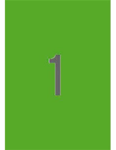 Étiquettes vertes fluorescentes permanentes Apli 210 x 297 mm, 100 feuilles