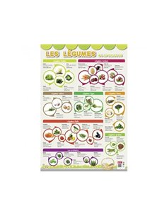 Posters souples bouchut les legumes supports ludiques materiau souple 150g 52x76 cm.
