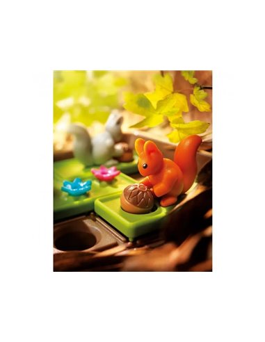 Logique reflexion smart cache noisette ecureuils 60 defis interet pedagogique plateau de jeu 4 ecureuils 5.