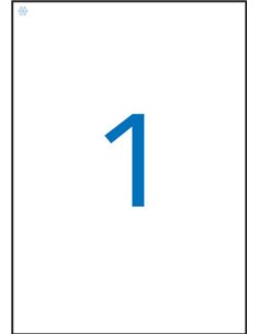 Étiquettes blanches Apli Spécial Congélateur 210 x 297 mm 10 feuilles