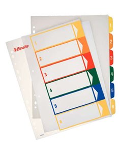 Index Esselte imprimable, projets de type 1 à 6, multicolore - Format A4 maxi - Matériau PP rigide 300 microns, couverture 350 m