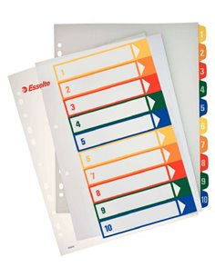 Index Esselte imprimable, projets de type 1 à 10, multicolore - Format A4 maxi - Matériau PP rigide 300 microns, couverture 350 