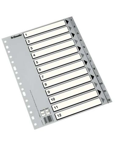 Index numérique en plastique Esselte - Onglets 1 à 12 - Multi-trous - Format A4 - Couleur grise