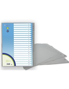 Index numérique Bismark avec onglets de 1 à 21 - Multi-trous - Format A4 - En polypropylène - Couleur grise
