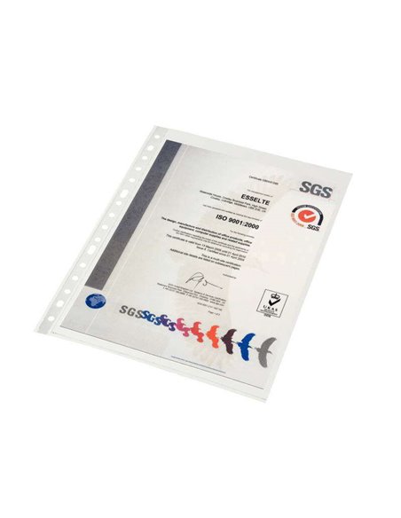 Porte-documents Esselte Folio - PP - Orange Peel - Qualité standard - Multi-trous - 16 - Pochette 10 - Transparent