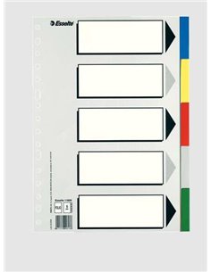 Sachet de 5 intercalaires en plastique Esselte 613 - 5 onglets / 5 couleurs - Multi-perforés - Format Folio