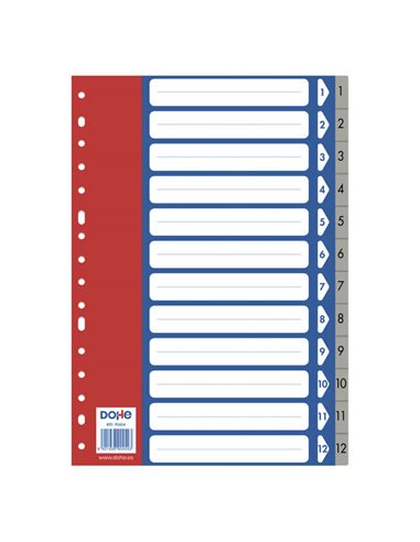 Intercalaires Dohe pour classeurs et chemises à anneaux - 120 microns - 16 trous multi-perforations - Pochette individuelle auto