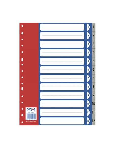 Intercalaires Dohe pour classeurs et chemises à anneaux - 120 microns - Polypropylène résistant - 16 trous multi-perforations - 