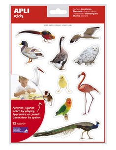 Autocollants thématiques réalistes pour oiseaux Apli - 144 autocollants sur 12 feuilles - Images réalistes pour associer les ois