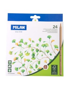 Lot de 24 crayons de couleur hexagonaux Milan - Mine 2,9 mm - Incassables - Bois certifié FSC - Couleurs assorties