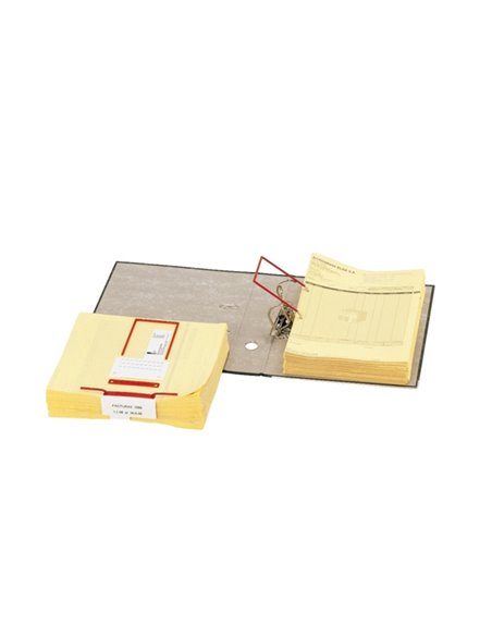 Classeurs plastiques Elba Data-Clip avec fil intérieur - Faciles à utiliser - Résistants - Rouge